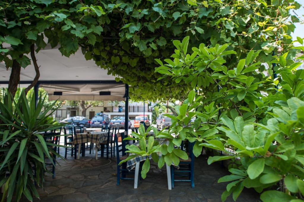 Hotel Alexandros Неи Порои Екстериор снимка