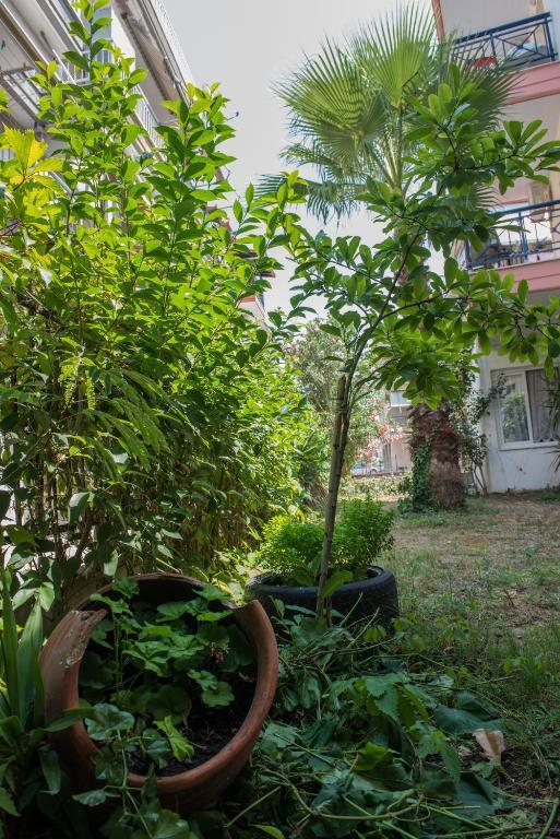 Hotel Alexandros Неи Порои Екстериор снимка