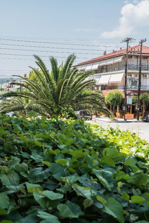 Hotel Alexandros Неи Порои Стая снимка